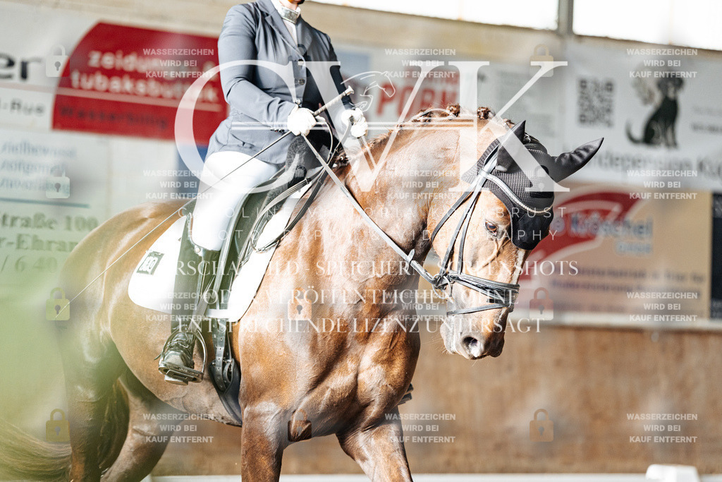CK902731 | Turnierfotografie Pferdefotografie Trier Rheinland-Pfalz Pferdesport Reitsport Tierfotografie Sportfotografie Pferdevideo Pferdevideografie Equestrianvideography equestrianphotography  - Realisiert mit Pictrs.com