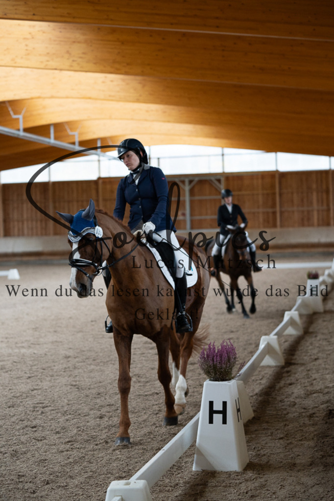 A7V02309 | Pferdefotograf