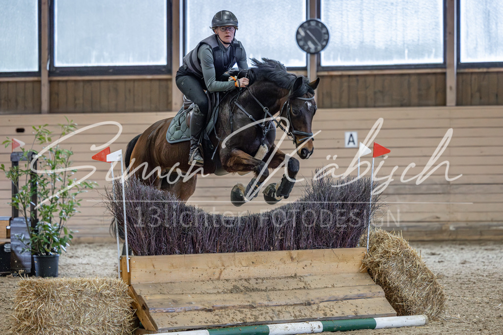 20260222-_3LI1545 | Tierfotografie Pferde, Hunde, Katzen, Haustiere.
Turnierfotografie Reitturniere, Reiten, Springreiten, Dressur in Hanau, dem Main-Kinzig-Kreis und dem Rhein-Main- Gebiet um Frankfurt
