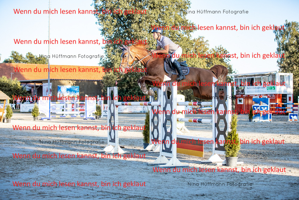 BK1A8567 | Turnierbilder Turnierfotos Nina Hüffmann Turnierfotografie Pferdefotografie Tierzeichnung Haustierzeichnung Pferdezeichnung Hundezeichnung Videograf  - Realisiert mit Pictrs.com
