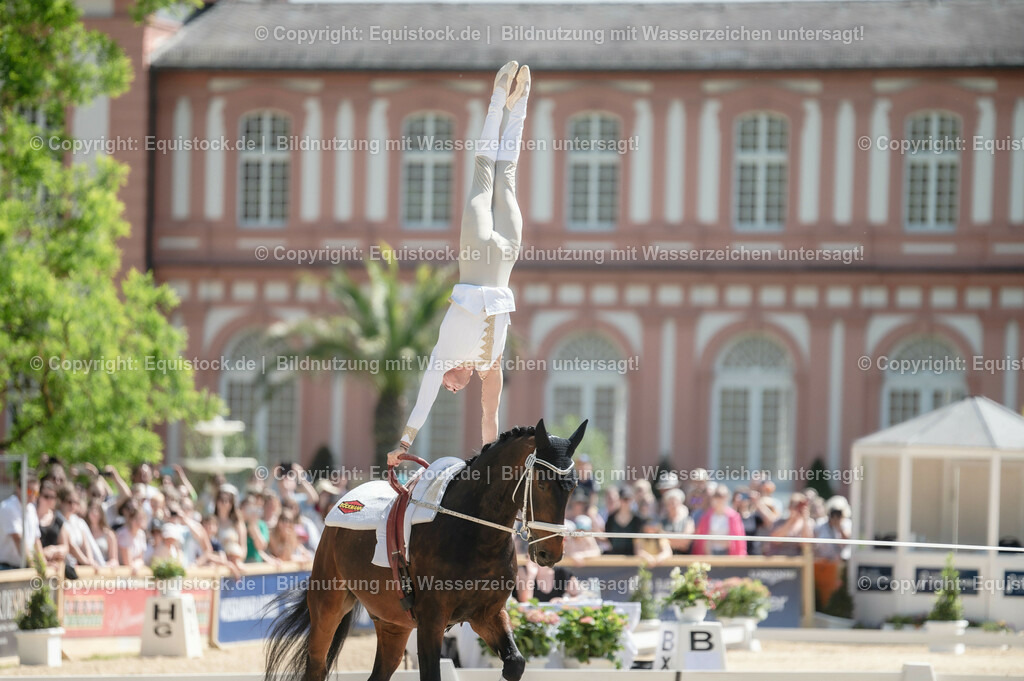20230528_Voltigieren_NASPA_0193 | equistock