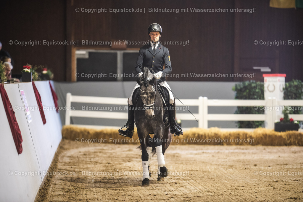 20240302_Hengstvorstellung_Marbach_TOMsPiC_0162-2 | equistock