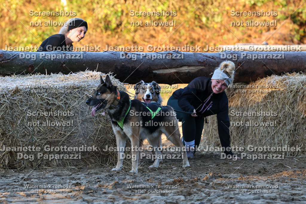 Dog Paparazzi - Strongdog 10-25-534 | Dog Paparazzi Jeanette Grottendiek Fotografie & Videografie - Realisiert mit Pictrs.com