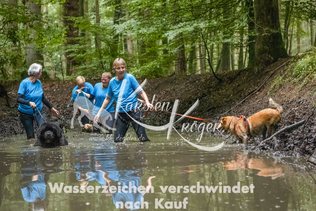 1145_ZZ91334-Bearbeitet-2 | kk-dogfotos