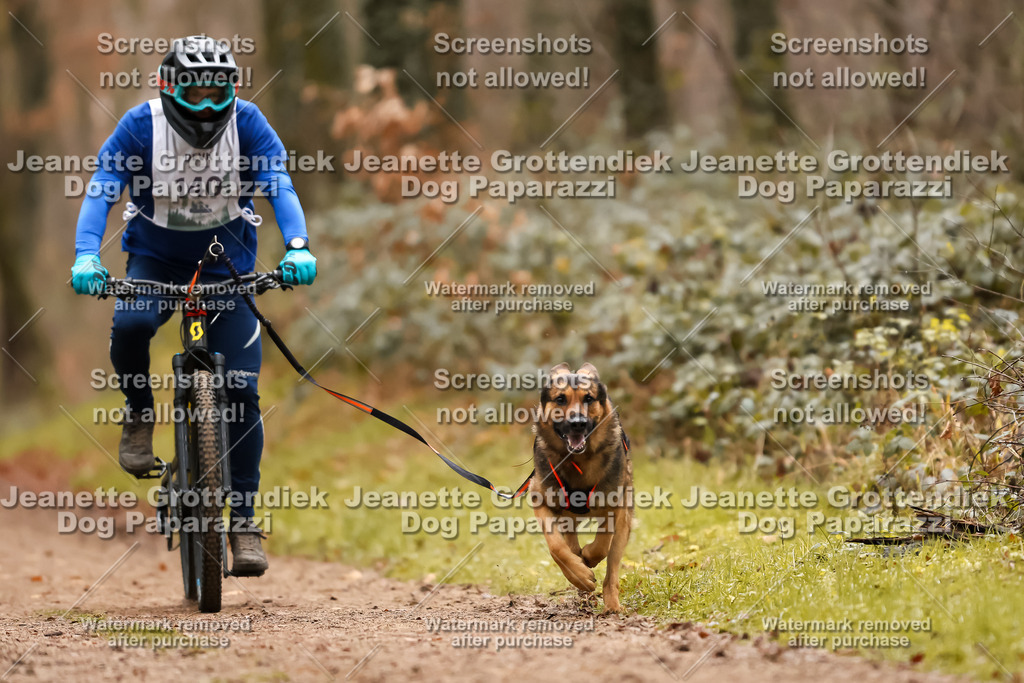 Dog Paparazzi - Speedhunter Mannheim  2025-392 | Dog Paparazzi Jeanette Grottendiek Fotografie & Videografie