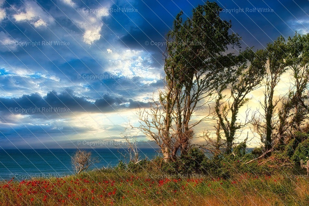 1D3A6597 | Rolf Wittke  - Realisiert mit Pictrs.com