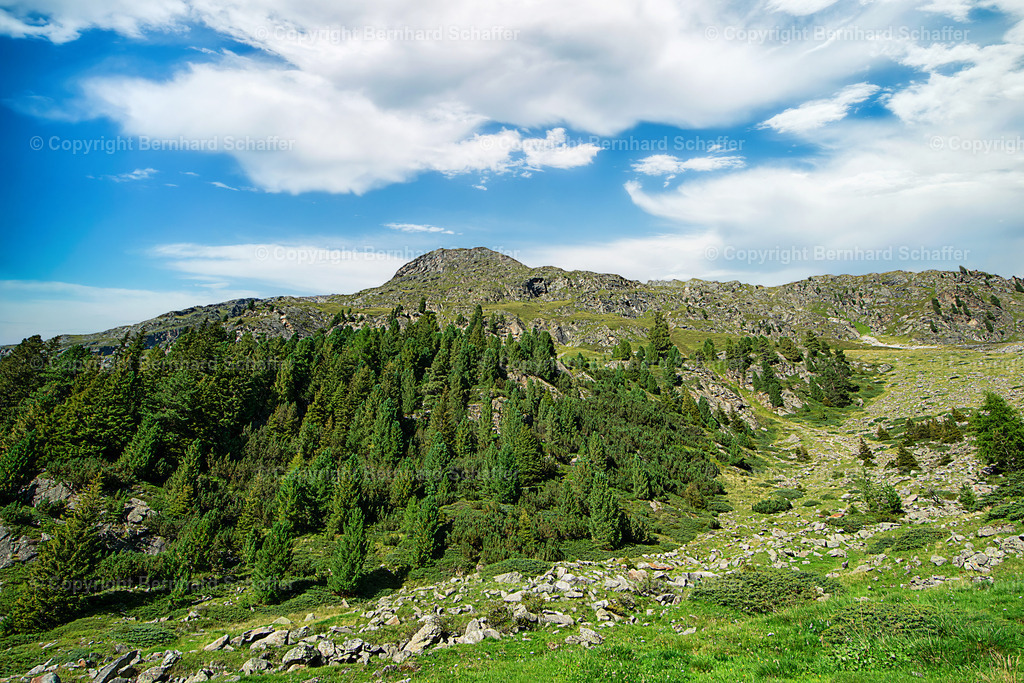 Berghang in den Alpen | Ein bewaldeter Berghang in den Österreichischen Alpen. - Realisiert mit Pictrs.com