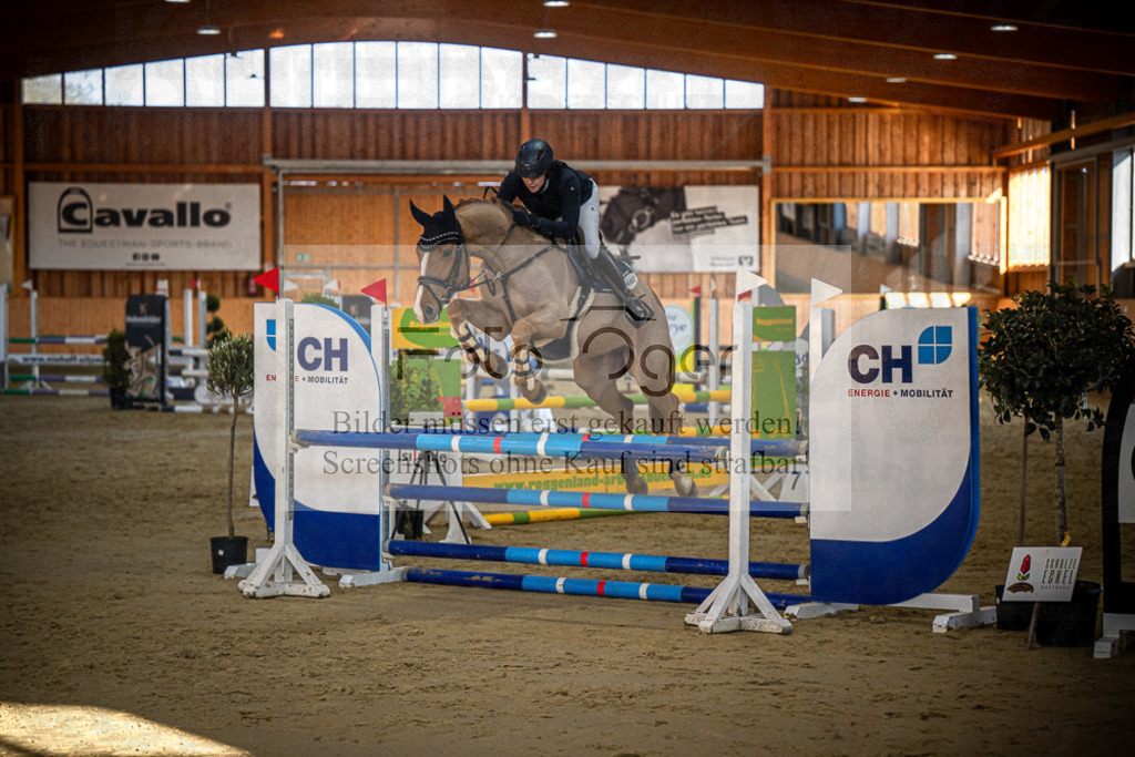 DOS_1048 | Entdecke hochwertige Reitturnierfotos von Foto Oger. Professionell, emotional und authentisch – jetzt Lieblingsmomente im Shop bestellen.Deutschlandweite Turnierfotografie. - Realisiert mit Pictrs.com