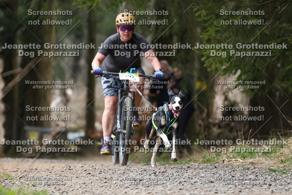 Dog Paparazzi - VCC26-555 | Dog Paparazzi Jeanette Grottendiek Fotografie & Videografie - Realisiert mit Pictrs.com