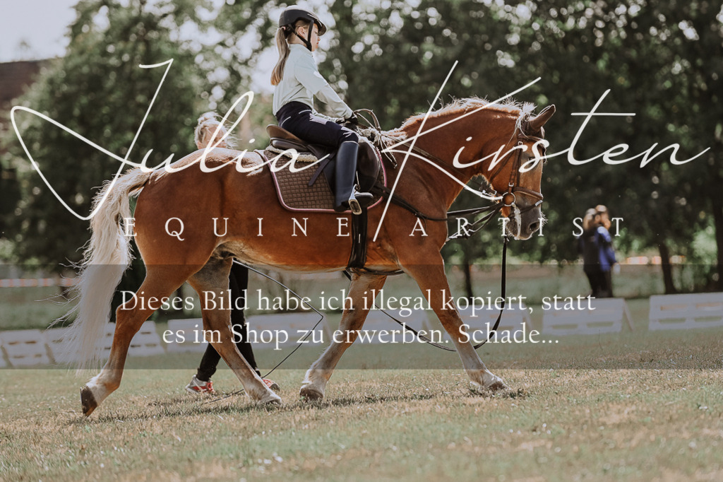 DSC_7560 | Pferde- und Turnierfotografie in Westsachsen. Pferdeportraits, Auftragszeichnungen und intuitive Kunst.