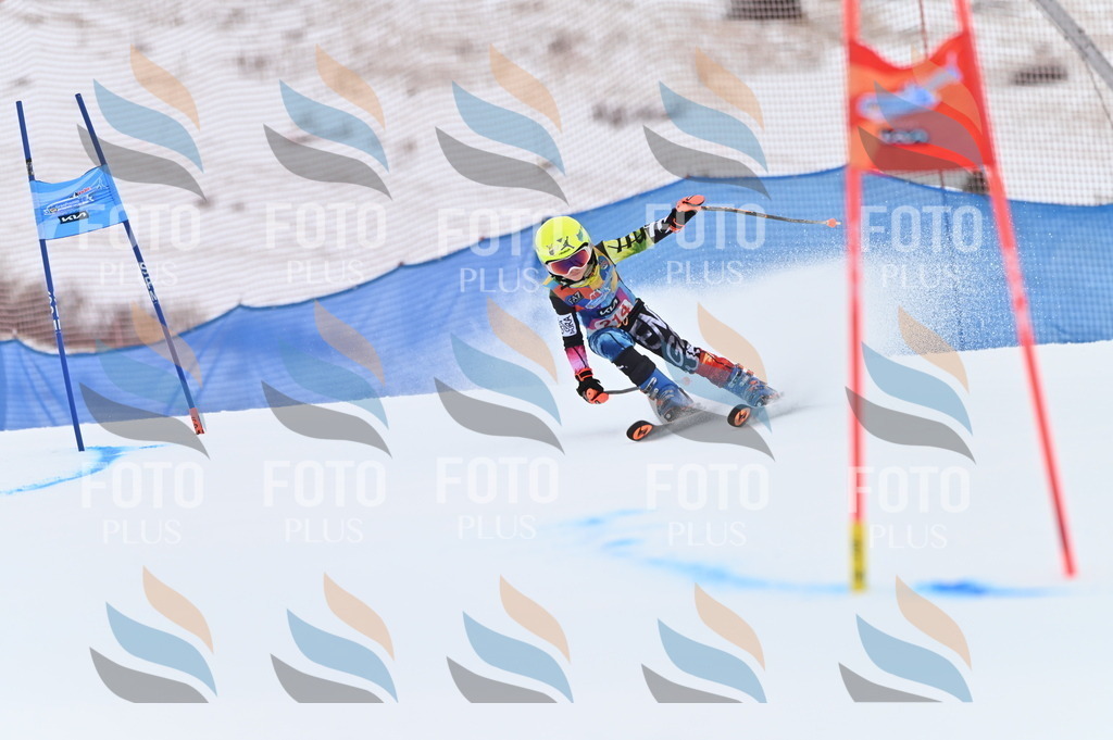 BGV_2670 | holidayphoto