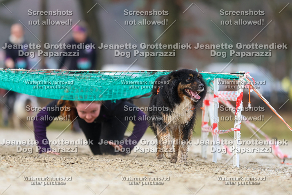 Dog Paparazzi - Strongdog North Mrz26-3872 | Dog Paparazzi Jeanette Grottendiek Fotografie & Videografie - Realisiert mit Pictrs.com