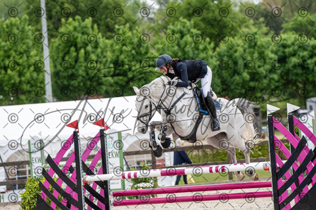 KPT_8595 | andre_photographic