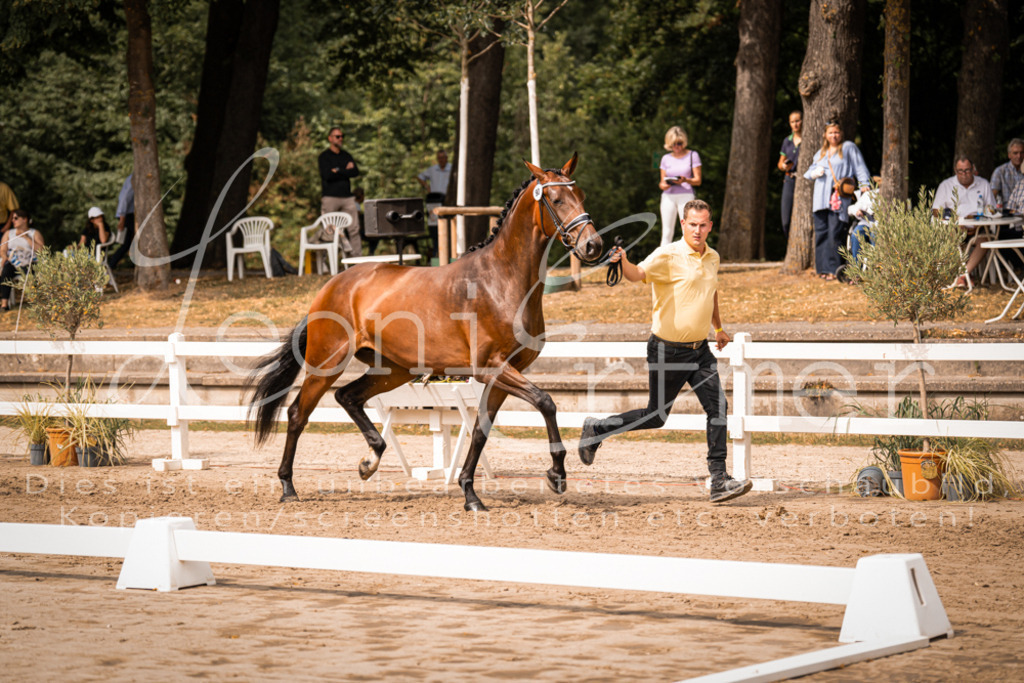 6.Fr00042 | Leoni Ertmer Photography - Realisiert mit Pictrs.com