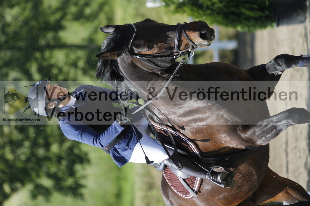 _MG_1811 | equestrian-live-com
