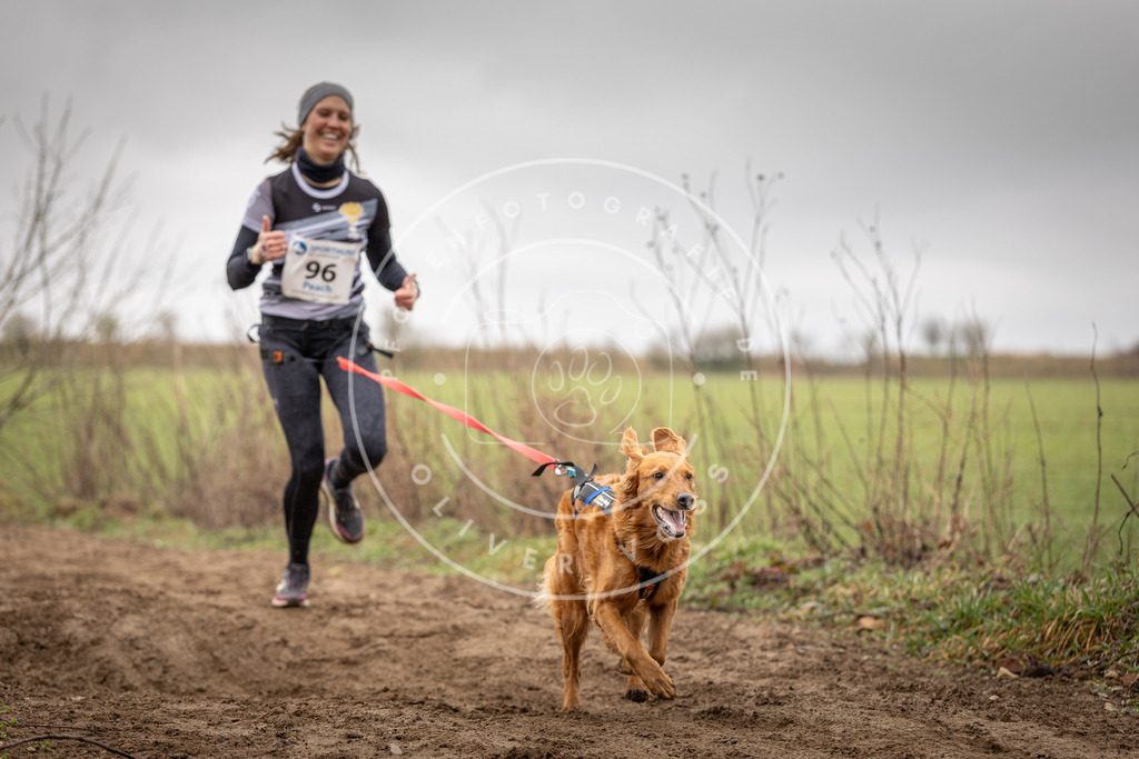 DV3A0116 | Hundefotografie, Tierfotograf, Pfotenfotografie, Fotoshooting Hund, Hunde Portrait, Hundesport, Hundeportraits, Heideshooting, Hunde, Sportfotograf, Hundefotograf, Turnierhundsport, THS,  - Realisiert mit Pictrs.com