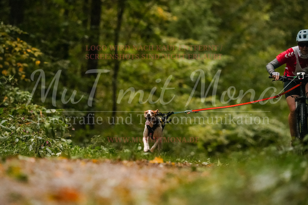 20251005_THS_Turnier-98 | MuT (Mensch und Tier) mit Mona - Fotografie und Tierkommunikation - Realisiert mit Pictrs.com