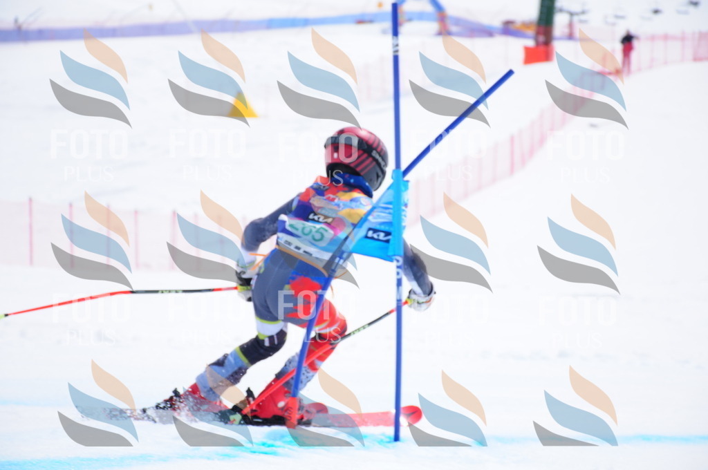 DSC_2537 | holidayphoto