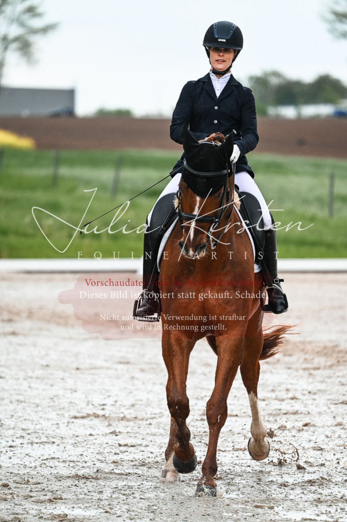 DSC_4229 | Pferde- und Turnierfotografie in Westsachsen. Pferdeportraits, Auftragszeichnungen und intuitive Kunst.