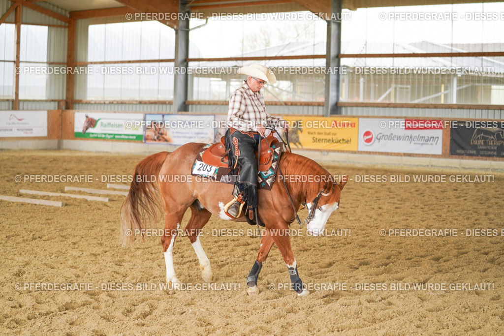 DSC04128 | Pferdegrafie