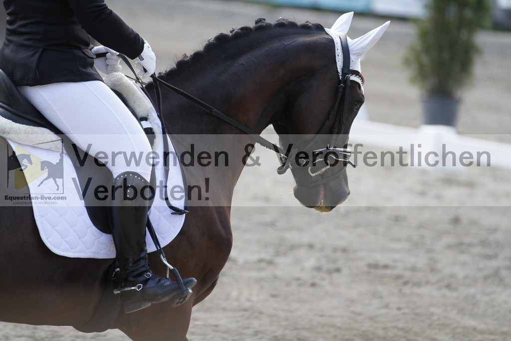 _MG_2085 | equestrian-live-com