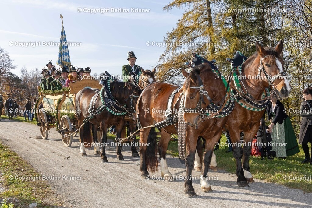 LBT24-1290 | foto-bettina-krinner - Realisiert mit Pictrs.com