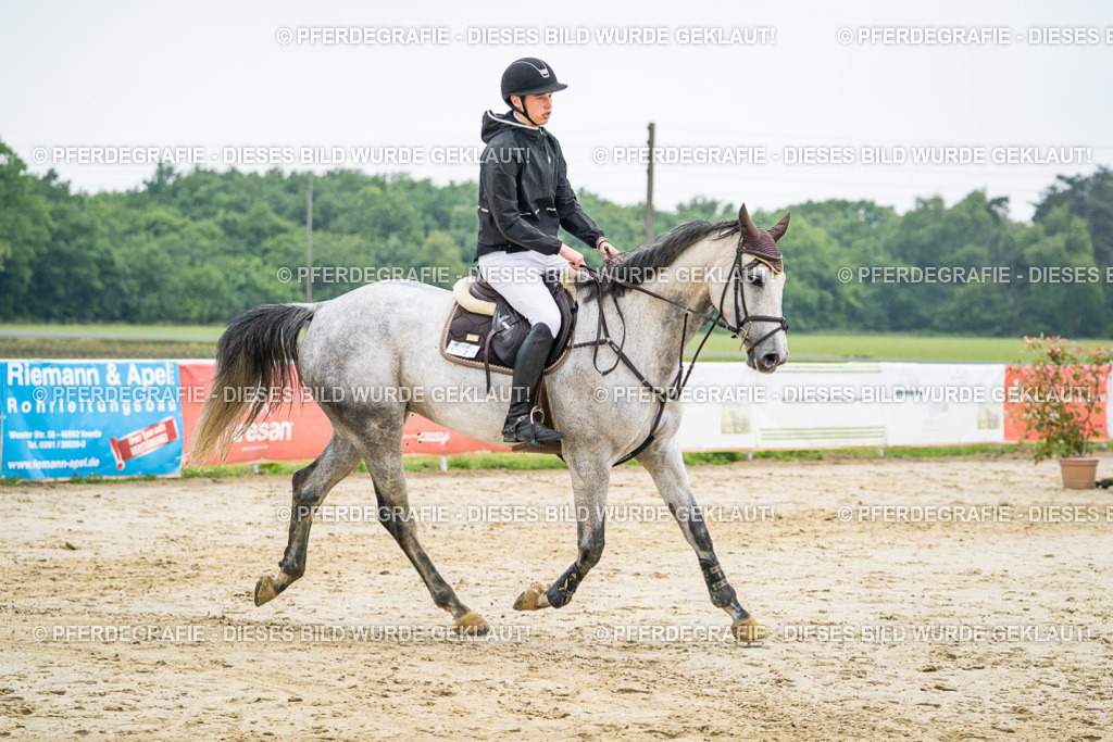 DSC00526 | Pferdegrafie