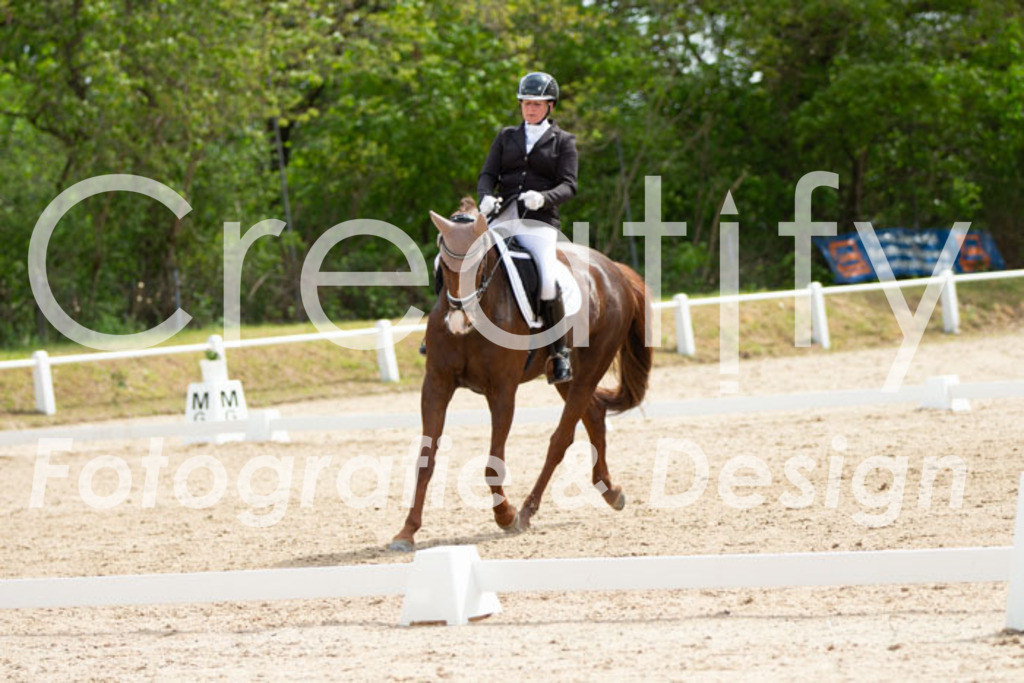 IMG_2353 | Creatify Fotografie