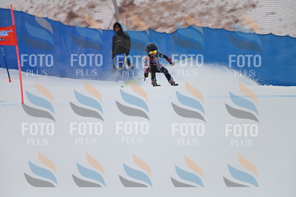 BGV_0353 | holidayphoto