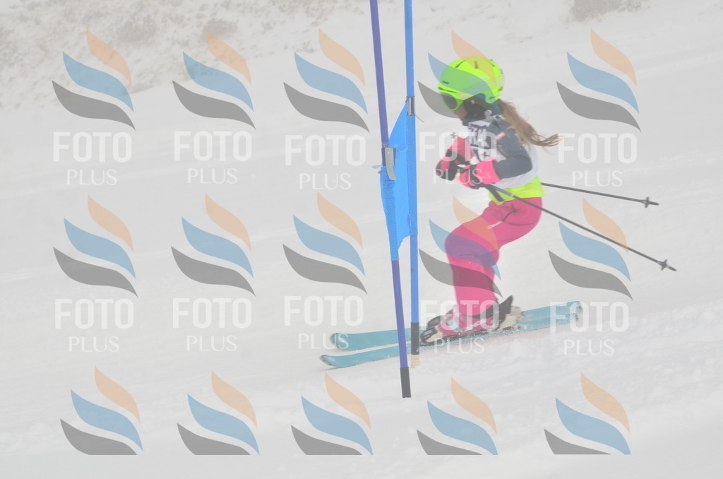 A5320 | holidayphoto