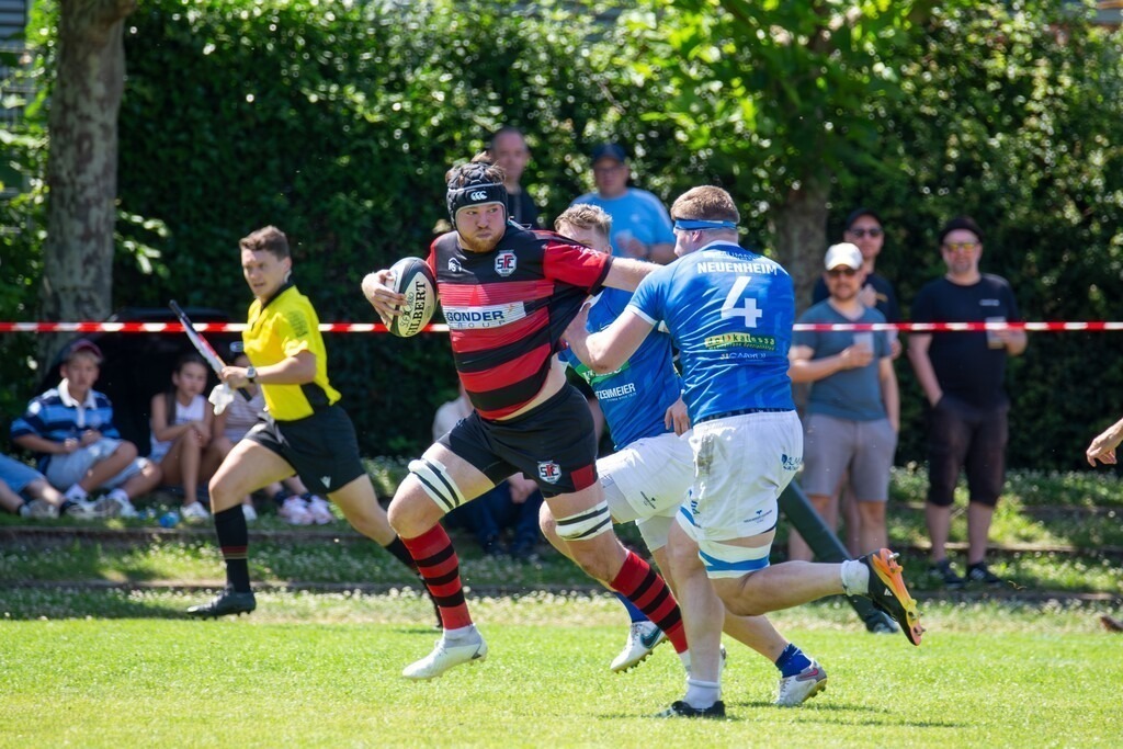 Rugby 1. Bundesliga Süd/West, Saison 2024/25, Finalphase Halbfinale: SC Frankfurt 1880 gegen SC Neuenheim | Rugby 1. Bundesliga Süd/West, Saison 2024/25, Finalphase Halbfinale: SC Frankfurt 1880 gegen SC Neuenheim - Realisiert mit Pictrs.com