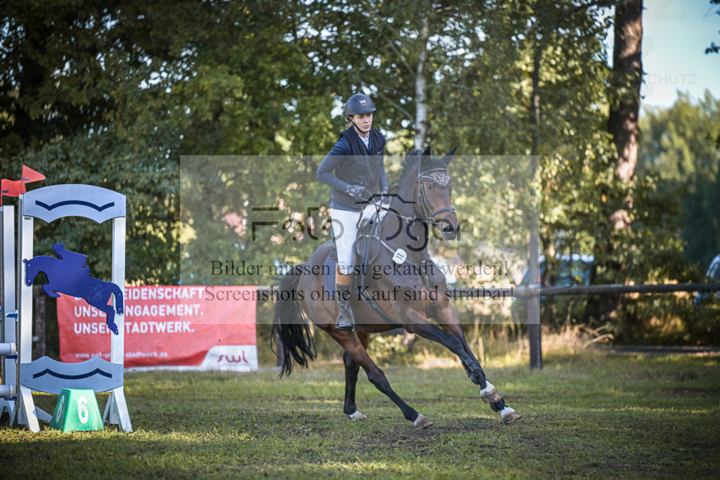 DOS_0441 | Entdecke hochwertige Reitturnierfotos von Foto Oger. Professionell, emotional und authentisch – jetzt Lieblingsmomente im Shop bestellen.Deutschlandweite Turnierfotografie. - Realisiert mit Pictrs.com