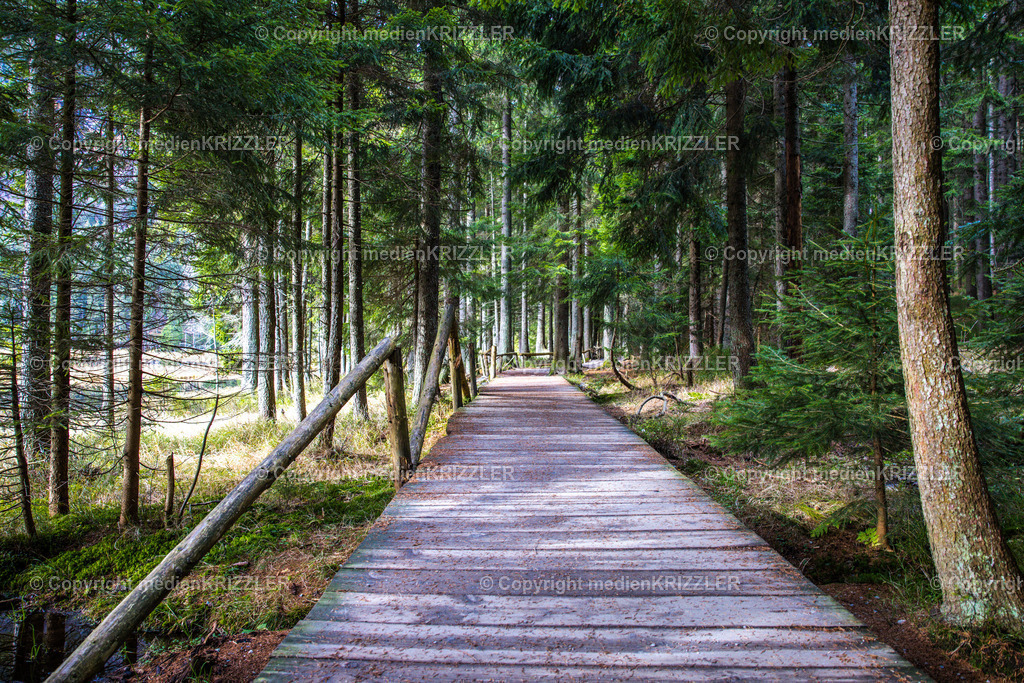 _J3A9060 | medienkrizzler - Realisiert mit Pictrs.com