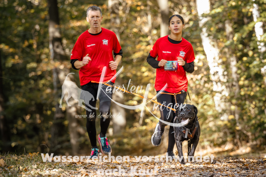 1228_ZZ95306 | kk-dogfotos