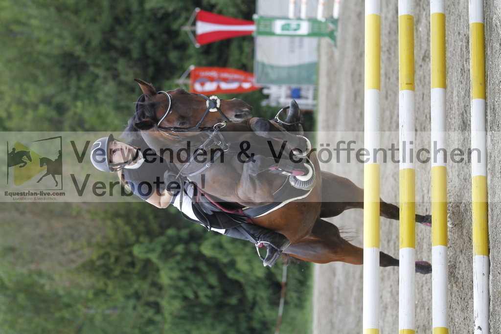 _MG_5278 | equestrian-live-com