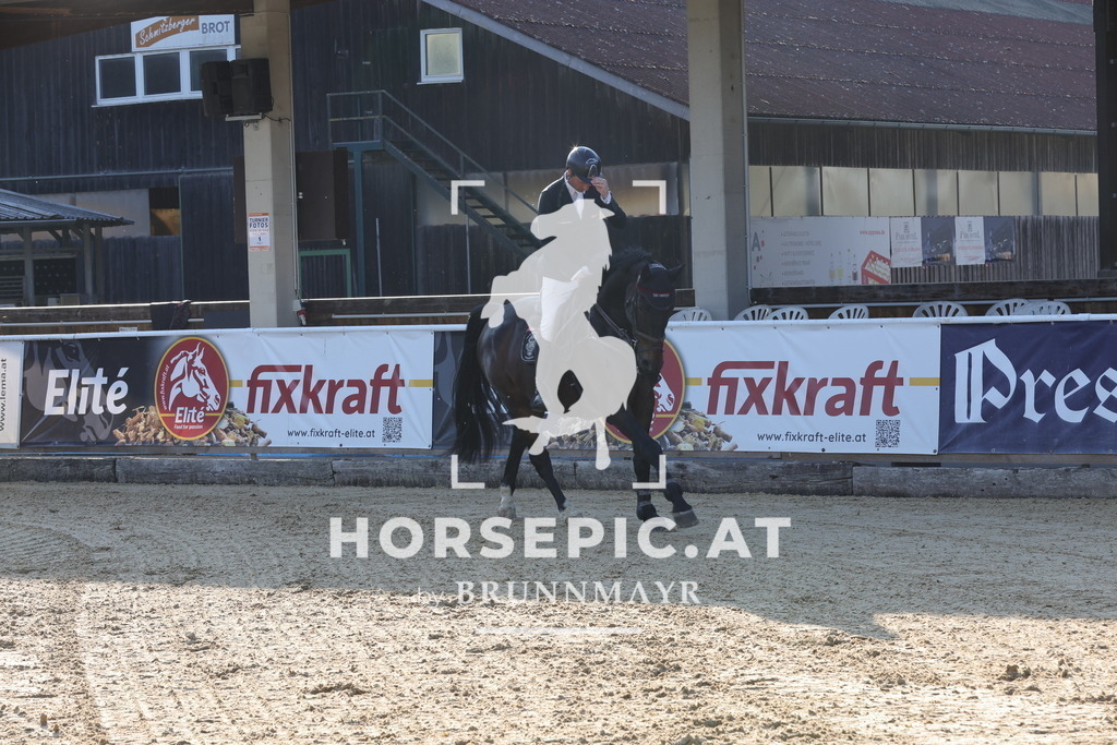 0P6A8381 | Willkommen bei Brunnmayr - Design & Fotografie – Ihrem Spezialisten für Reitturniere und Pferdeveranstaltungen in Oberösterreich, Salzburg und Bayern! Seit über 17 Jahren sind wir leidenschaftlich dabei.