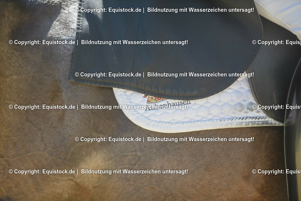 20230529_Impressionen_0045 | equistock