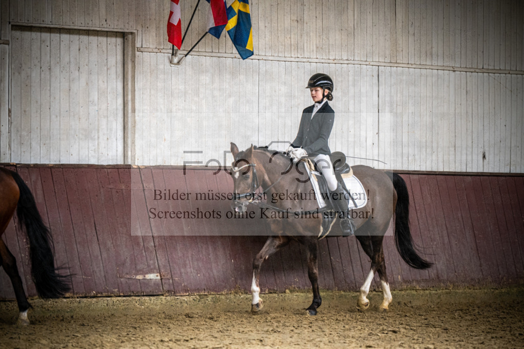 DOS_1509 | Reitturnier Lüdinghausen - Realisiert mit Pictrs.com