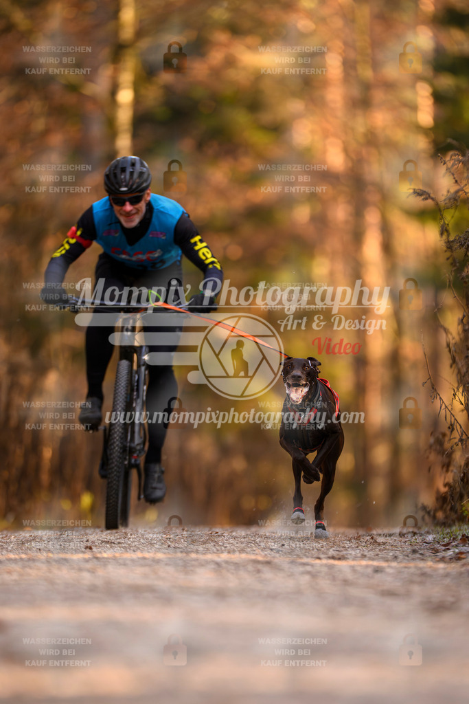 MompixPhotography_DM_AKDM_SO_2025_Bike-30 | PayLife