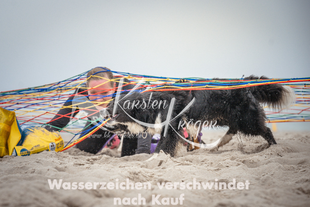 1102_ZZ96605 | kk-dogfotos