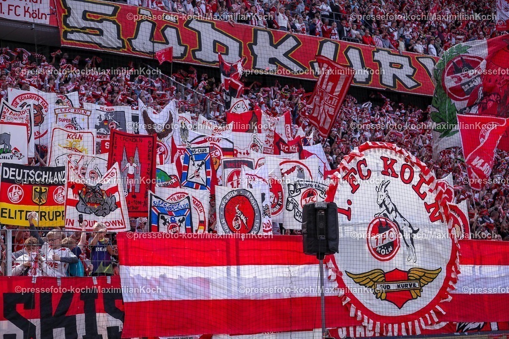 1FC20042501074 | 20.04.2025, Fußball, 1. FC Köln - Preußen Münster, 2.. Fußball Bundesliga, 30. Spieltag, RheinEnergie-STADION, Saison 2024 2025: Feature Fans Symbolbild Symbolfoto Südkurve Fanschal Schilder Fahnen Tribüne Fan Kölner DFB regulations prohibit any use of photographs as image sequences and or quasi-video.