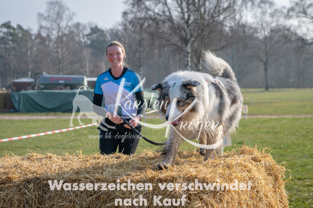 _ZZ91708 | kk-dogfotos