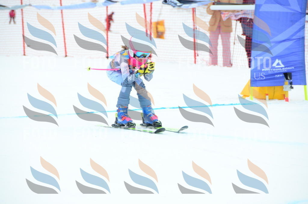 DSC_0783 | holidayphoto