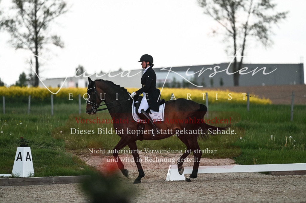 20230514_JK-Röhrsdorf-21-504 | Pferde- und Turnierfotografie in Westsachsen. Pferdeportraits, Auftragszeichnungen und intuitive Kunst.
