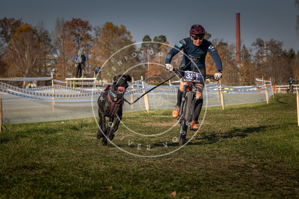 CaniXpix_0L8A8184 | Hundefotografie, Tierfotograf, Pfotenfotografie, Fotoshooting Hund, Hunde Portrait, Hundesport, Hundeportraits, Heideshooting, Hunde, Sportfotograf, Hundefotograf, Turnierhundsport, THS,  - Realisiert mit Pictrs.com