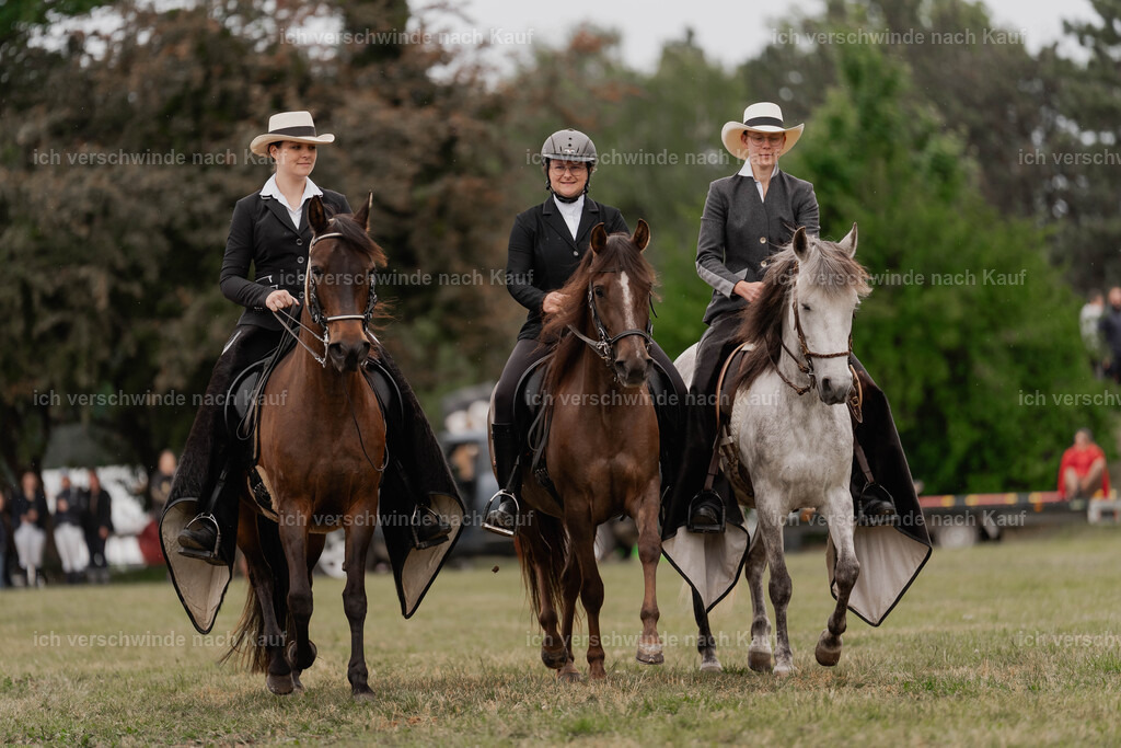 Showprogramm-471 | working equitationturnier fotograf videograf stoibphotography marixx film working equitation deutschland reitsport turnierfotografie eventfotografie equestrian events