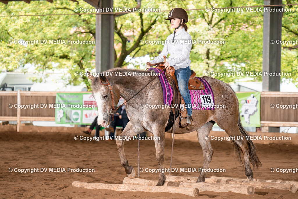 Erbach Tag 1-545 | dv-media-shop - Realisiert mit Pictrs.com