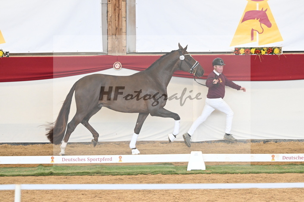 Kat.-Nr. 87 v. Vitalis_Kühnle_3261269 | hf-fotografie - Realisiert mit Pictrs.com