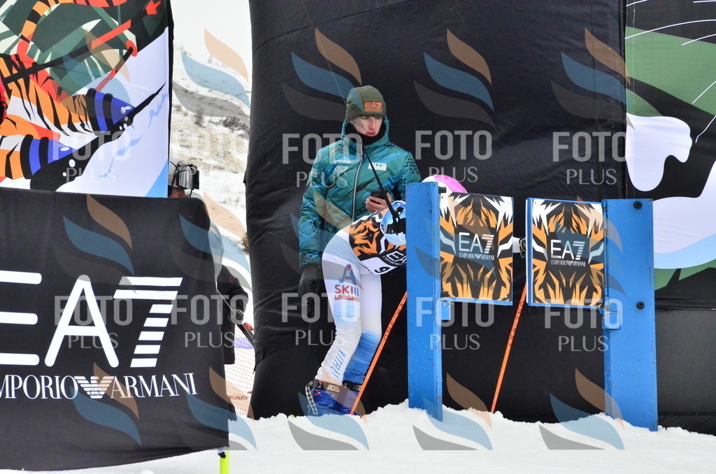 _ELE4022 | holidayphoto