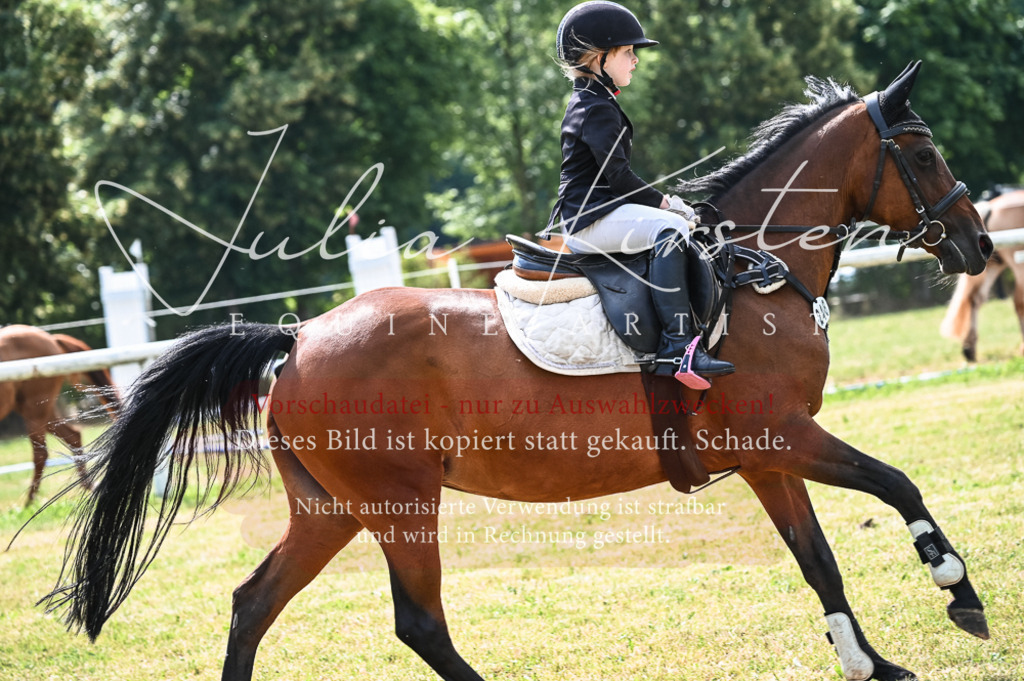 DSC_8520 | Pferde- und Turnierfotografie in Westsachsen. Pferdeportraits, Auftragszeichnungen und intuitive Kunst.